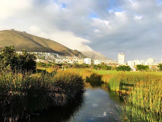 Park Greenpoint i Ogród Różnorodności Biologicznej